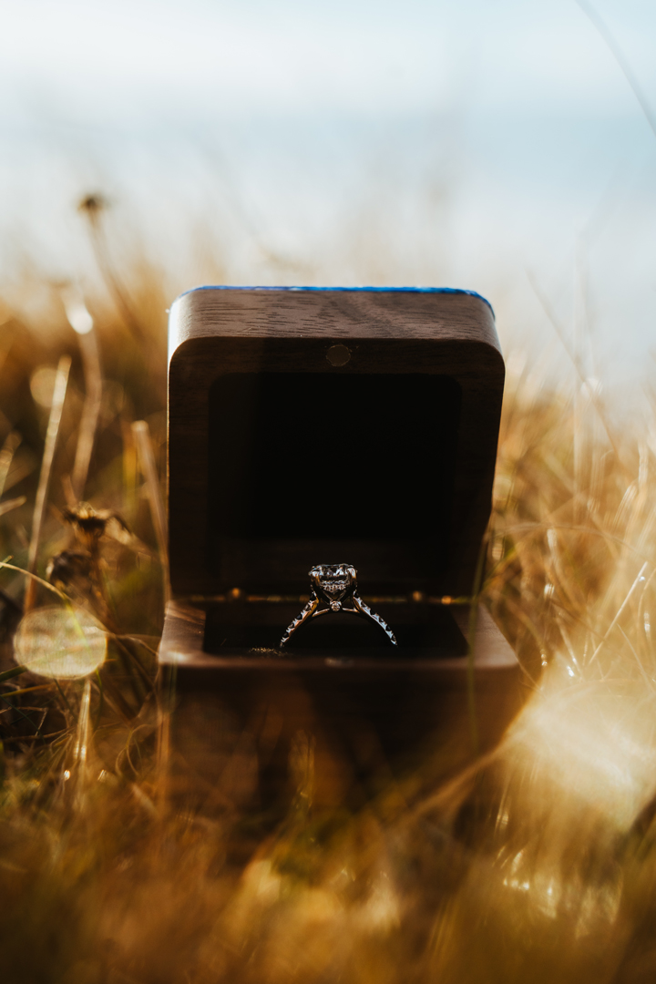 Photo of a ring in a box in Arnarstapi