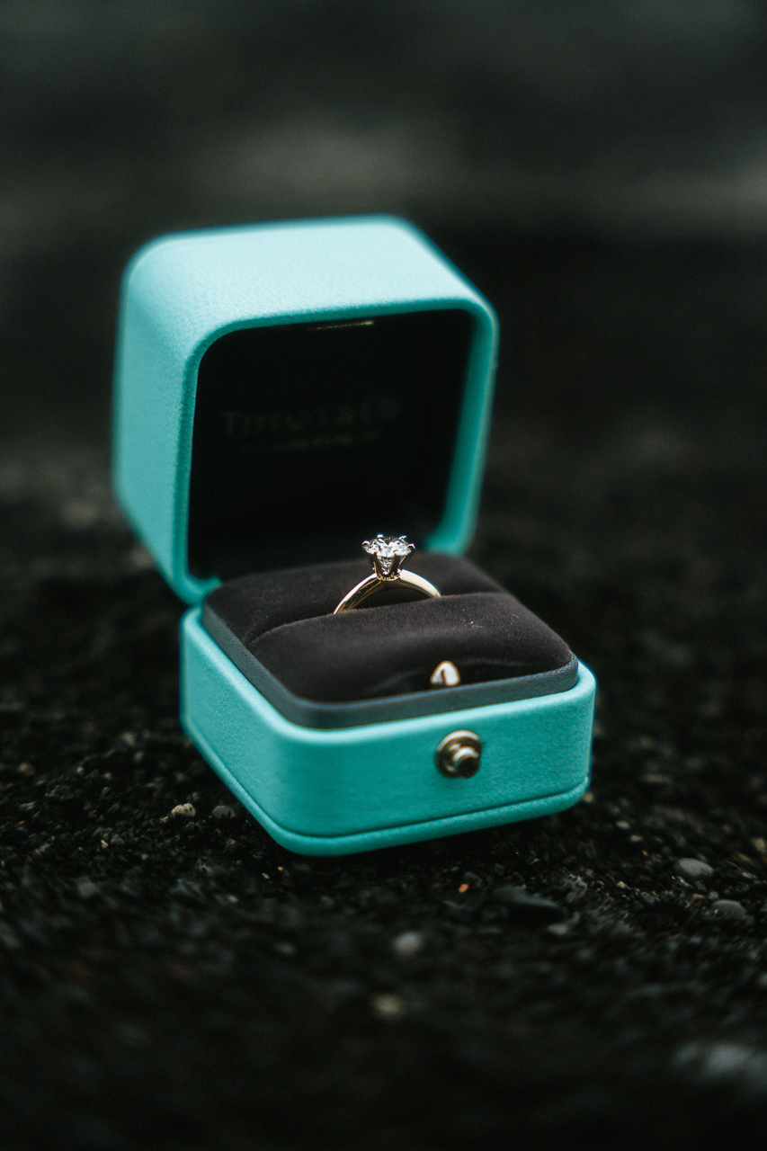 proposal-at-reynisfjara-66